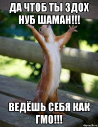 да чтоб ты здох нуб шаман!!! ведёшь себя как гмо!!!