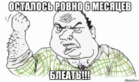 осталось ровно 6 месяцев блеать!!!