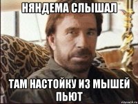 няндема слышал там настойку из мышей пьют