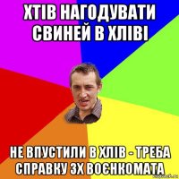 хтів нагодувати свиней в хліві не впустили в хлів - треба справку зх воєнкомата