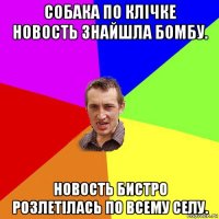 собака по клічке новость знайшла бомбу. новость бистро розлетілась по всему селу.