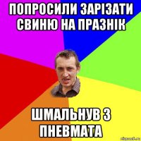 попросили зарізати свиню на празнік шмальнув з пневмата