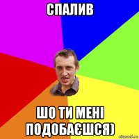 спалив шо ти мені подобаєшся)