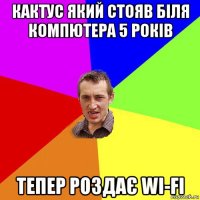 кактус який стояв біля компютера 5 років тепер роздає wi-fi