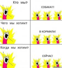 СОБАКА!!! В КОРМИЛА! СЕЙЧАС!