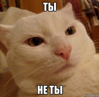 ты не ты