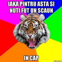 iaka pintru asta si nuti fut un scaun in cap