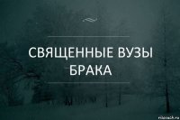 священные вУЗЫ брака