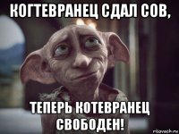 когтевранец сдал сов, теперь котевранец свободен!