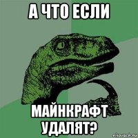 а что если майнкрафт удалят?