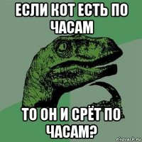 если кот есть по часам то он и срёт по часам?