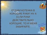 Отдам котенка в хорошие руки! Ну а если руки действительно хорошие, то и меня забирайте.