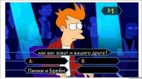 как вас зовут и вашего друга?   Пинки и Брейн 