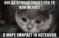 когда ксюша пишет что то или меняет в мире умирает 10 котенков