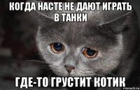 когда насте не дают играть в танки где-то грустит котик