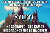 вас может убить тролль, загрызть змея, убить лысый чудан но хогвартс - это самое безопасное место на свете!