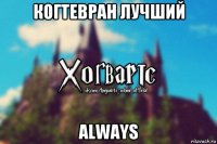 когтевран лучший always