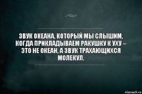 Звук океана, который мы слышим, когда прикладываем ракушку к уху – это не океан, а звук трахающихся молекул.