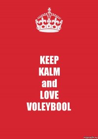 KEEP
KALM
and
LOVE
VOLEYBOOL