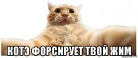  котэ форсирует твой жим