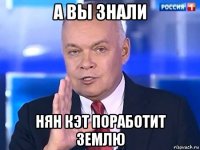 а вы знали нян кэт поработит землю