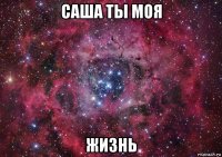 саша ты моя жизнь