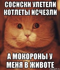 сосиски улетели котлеты исчезли а мокороны у меня в животе