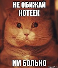 не обижай котеек им больно