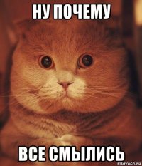 ну почему все смылись