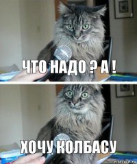 что надо ? А ! хочу колбасу