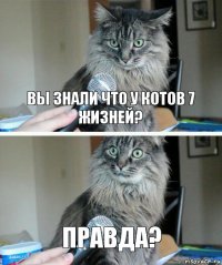 Вы знали что у котов 7 жизней? Правда?