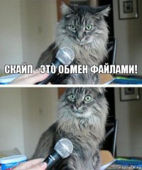 Скайп - это обмен файлами! 