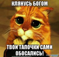 клянусь богом твои тапочки сами обосались!