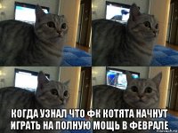  когда узнал что фк котята начнут играть на полную мощь в феврале