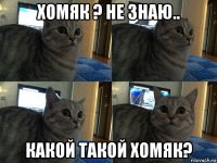 хомяк ? не знаю.. какой такой хомяк?