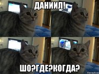 даниил! шо?где?когда?