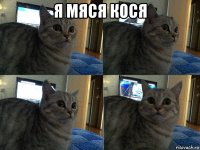 я мяся кося 