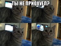 ты не приохуел? 