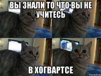 вы знали то что вы не учитесь в хогвартсе