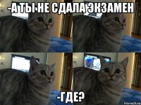 -а ты не сдала экзамен -где?