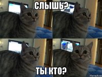 слышь? ты кто?