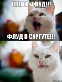 Опять флуд!!! Флуд в Сургуте!!!