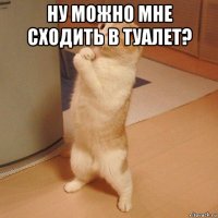 ну можно мне сходить в туалет? 