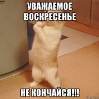 уважаемое воскресенье не кончайся!!!