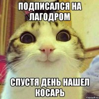 подписался на лагодром спустя день нашел косарь