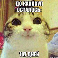 до каникул осталось: 107 дней