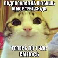 подписался на любишь юмор тебе сюда теперь по 1 час смеюсь