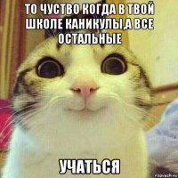 то чуство когда в твой школе каникулы,а все остальные учаться