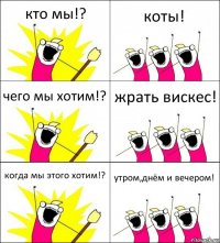 кто мы!? коты! чего мы хотим!? жрать вискес! когда мы этого хотим!? утром,днём и вечером!