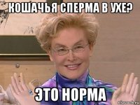 кошачья сперма в ухе? это норма